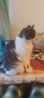 �ǂ��ł���������Ⴂ�܂�