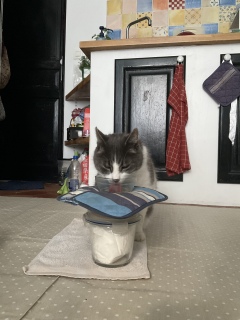 1��30��(��) �ˁ[���̏o�Ύ��Ԃɍ��킹�ďo��