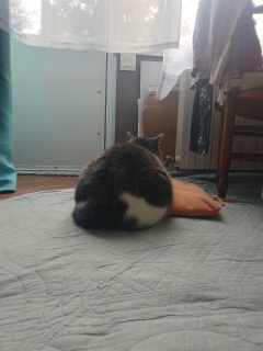 ����������킢��