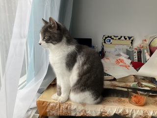 �ˁ[���͂������͂�H�ׂďo�΂ł�