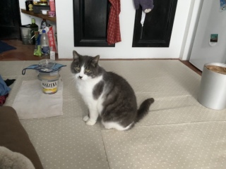 2��2��(��) ��������Ⴂ