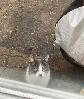 2��3��(��) �L���͓�