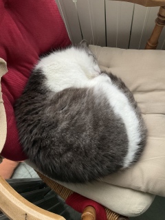 ����̎ʐ^�ł��@��