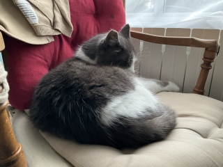 ����̎ʐ^�ł��@��