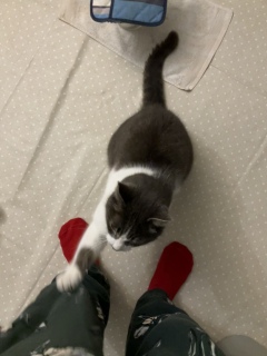 ����̎ʐ^�ł��@�l