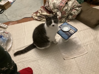 ����̎ʐ^�ł��@��