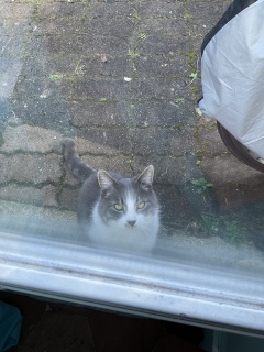 2��4��(��) �����͗��t���