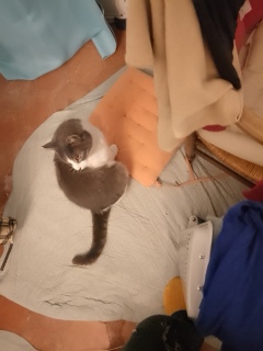 ����o�΂��肪�Ƃ�