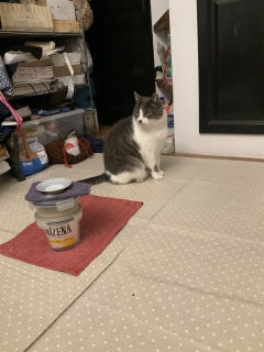 2��5��(��) �{���̓���