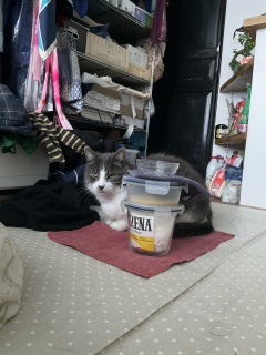 �o�΂�j�~�H