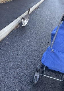 �����肠�肪�Ƃ�