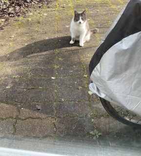 ����������킢����