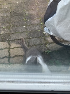 2��8��(��) �ˁ[���͏o�Ύ��Ԃł�