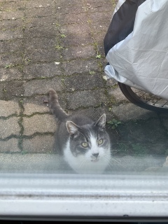 �������肪�Ƃ�