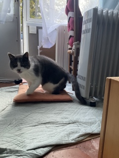 �т��݂��݂؂�