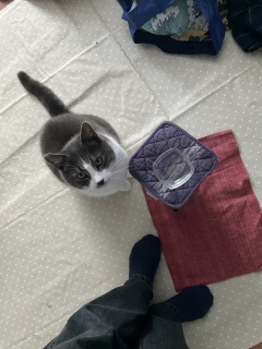 ����S�����