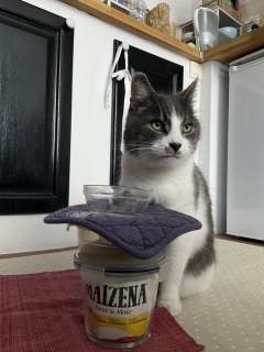 �A��̎��Ԃ��킩��܂�