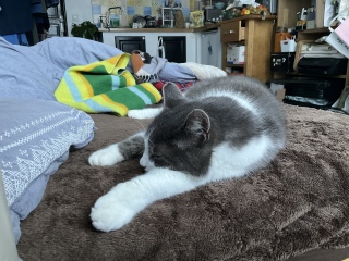 ����H�ׂĂ܂������났