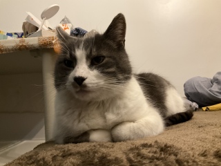 ����̎ʐ^�ł�