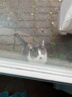 2��11��(��) ����10���O