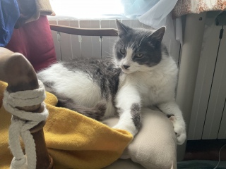 ������ꂿ���