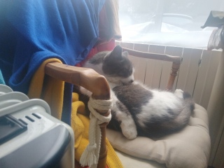 ��̎ʐ^���炿�傤��2���Ԍ�A�܂��֎q�ɖ߂�