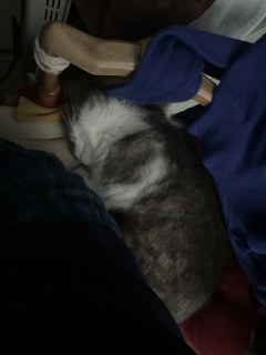 ����̎ʐ^�ł��@��