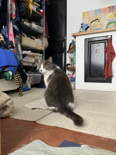 2��12��(��) ����A�ւ����҂��I