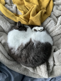 ���˂ނ����