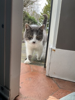 2��13��(��) �̂����̂���