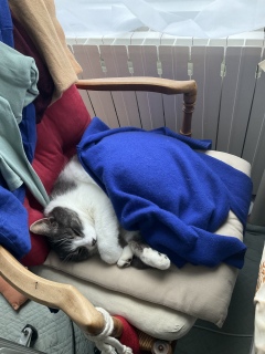 ���˂ނ̎���