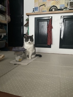 2��15��(��) ��̒����̓������