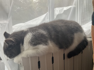 �ˁ[���͏o�Ύ��ԁA��������