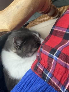 �����Q�����