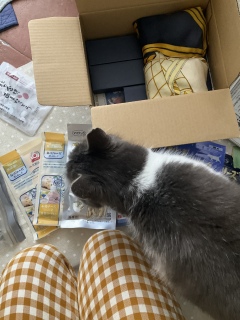 �ǂ�ɂ��悤���ȁ�