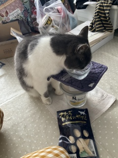 �����悭�̂ǂ�炵��