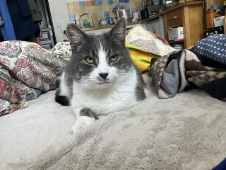 �L���͖ѕz���D���ł�