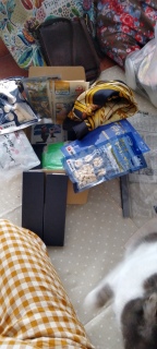 ���悹�񂩂�