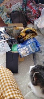 �ו��ƋL�O�B�e