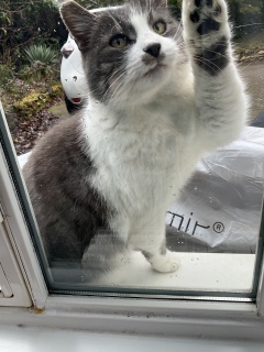 2��18��(��) �˂�������܂�