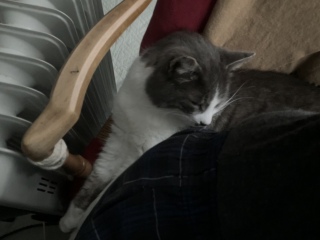 �ʂ�������