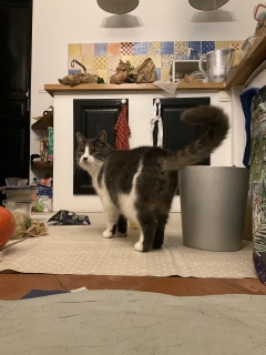 2��19��(��) ��������Ⴂ