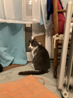 �������܂ł�