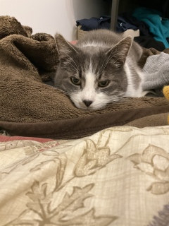 �����났