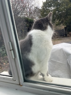 2��21��(�y) �ӂꂠ��������