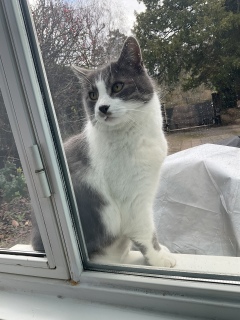 �~�j����B�点�Ă�