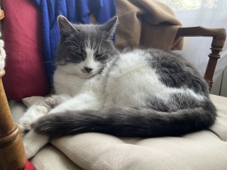 �֎q�ǂ���