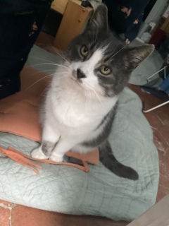 �A�C���C����������A�ς����肨�߂�