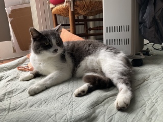 �o�}�����肪�Ƃ�