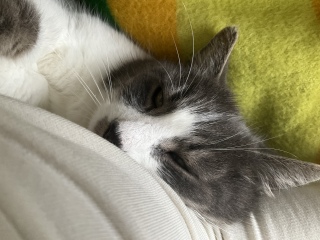 ������Ă����S